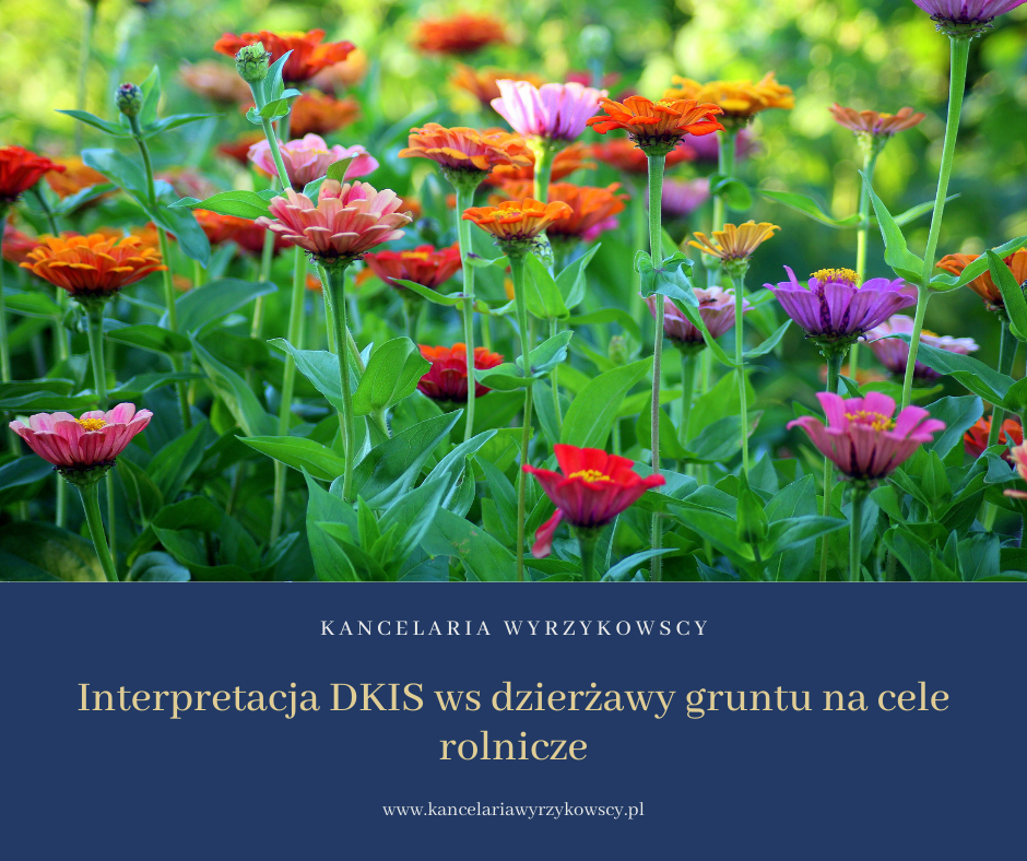 Interpretacja DKIS dot. dzierżawy gruntu na ogródek